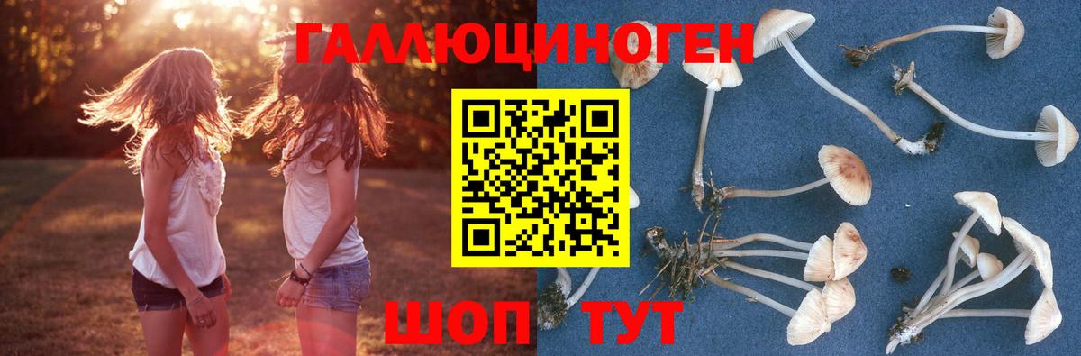 купить  сайты  Псилоцибиновые грибы MAGIC MUSHROOMS  Вход с VPN  Рязань 
